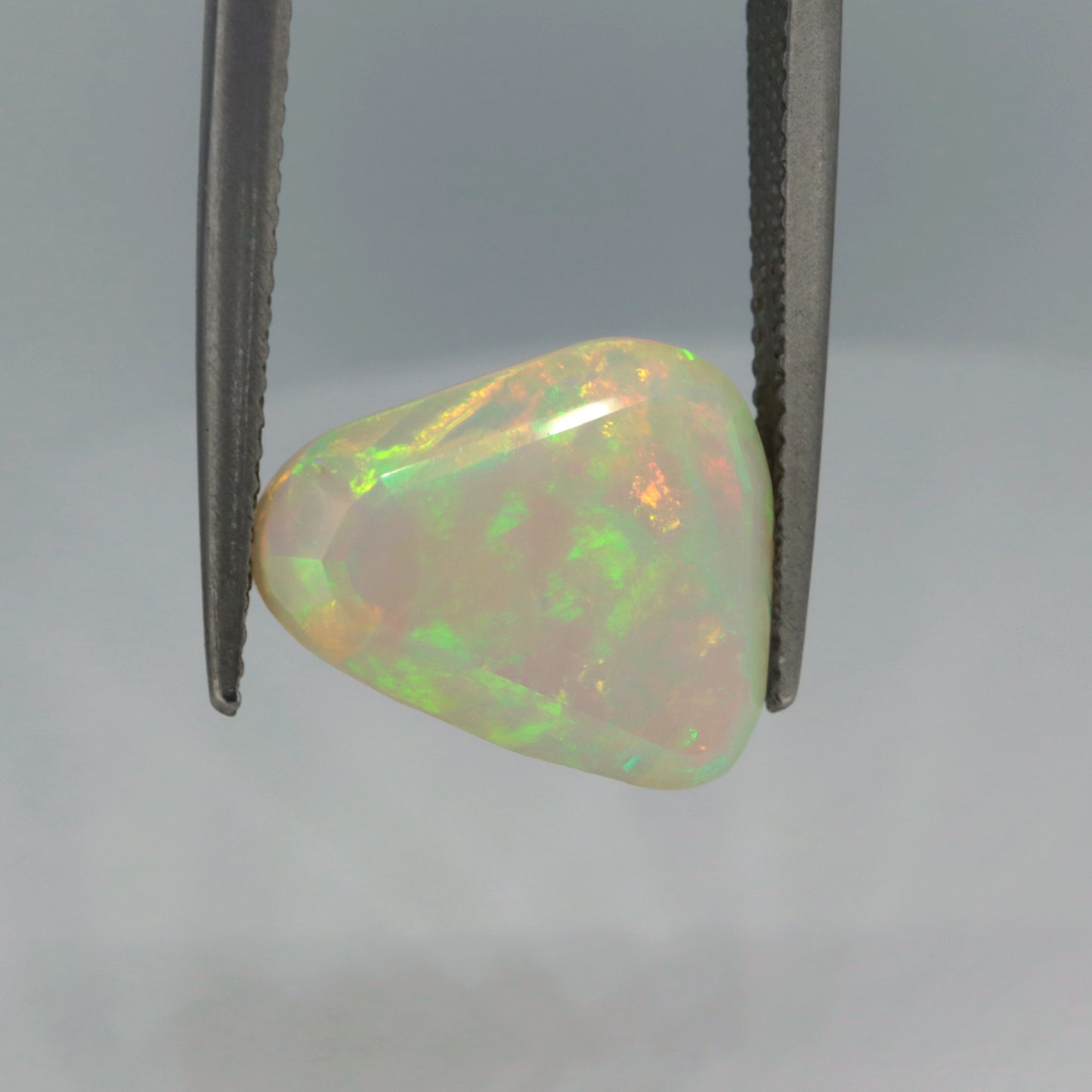 Welo Opal3.1ct / WO01