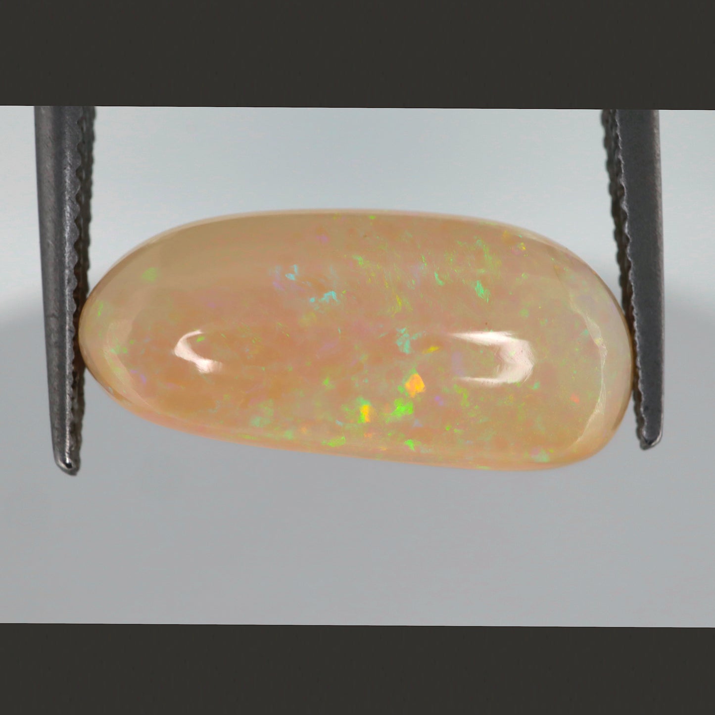 Welo Opal 5.0ct /WO02