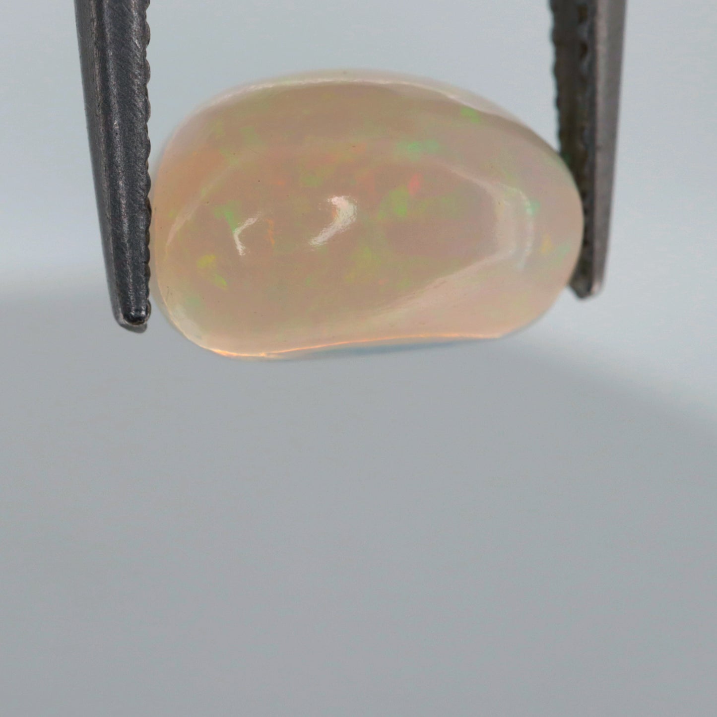 Welo Opal 1.6ct /WO04